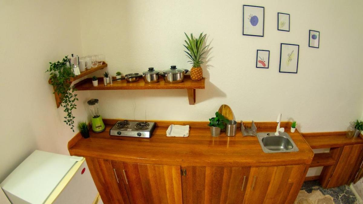 El Jardin Del Coco, Apartamento 14 - Near La Playita Beach Las Galeras Eksteriør bilde