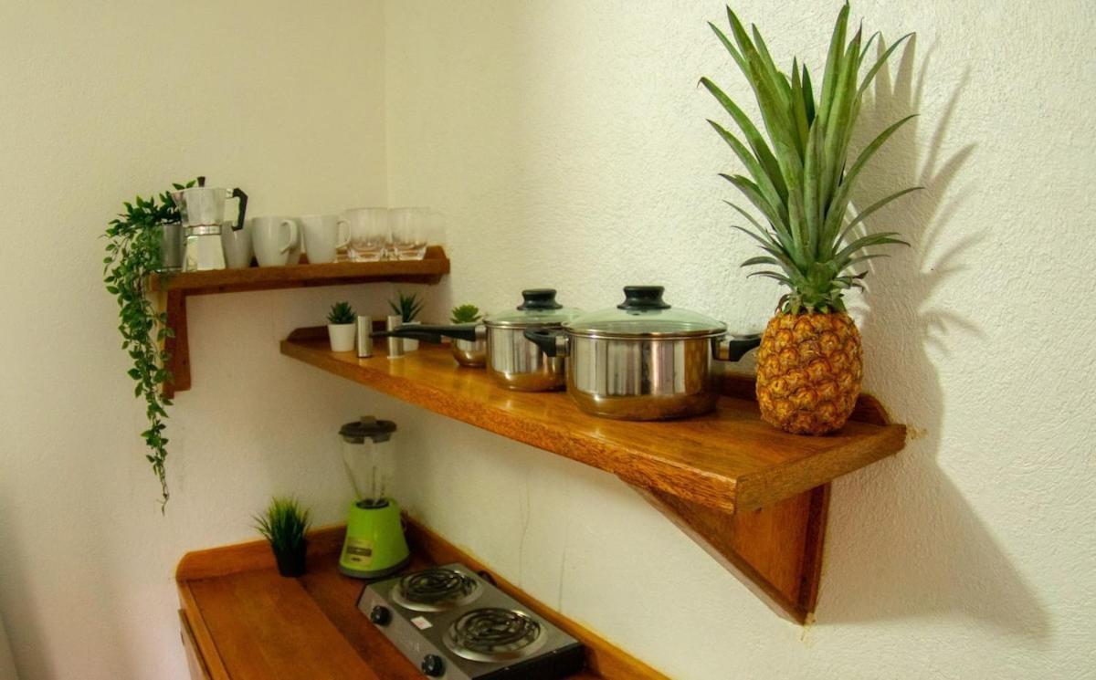 El Jardin Del Coco, Apartamento 14 - Near La Playita Beach Las Galeras Eksteriør bilde