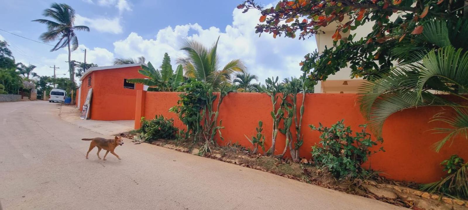 El Jardin Del Coco, Apartamento 14 - Near La Playita Beach Las Galeras Eksteriør bilde